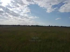 One Acre Narumoru/Solio