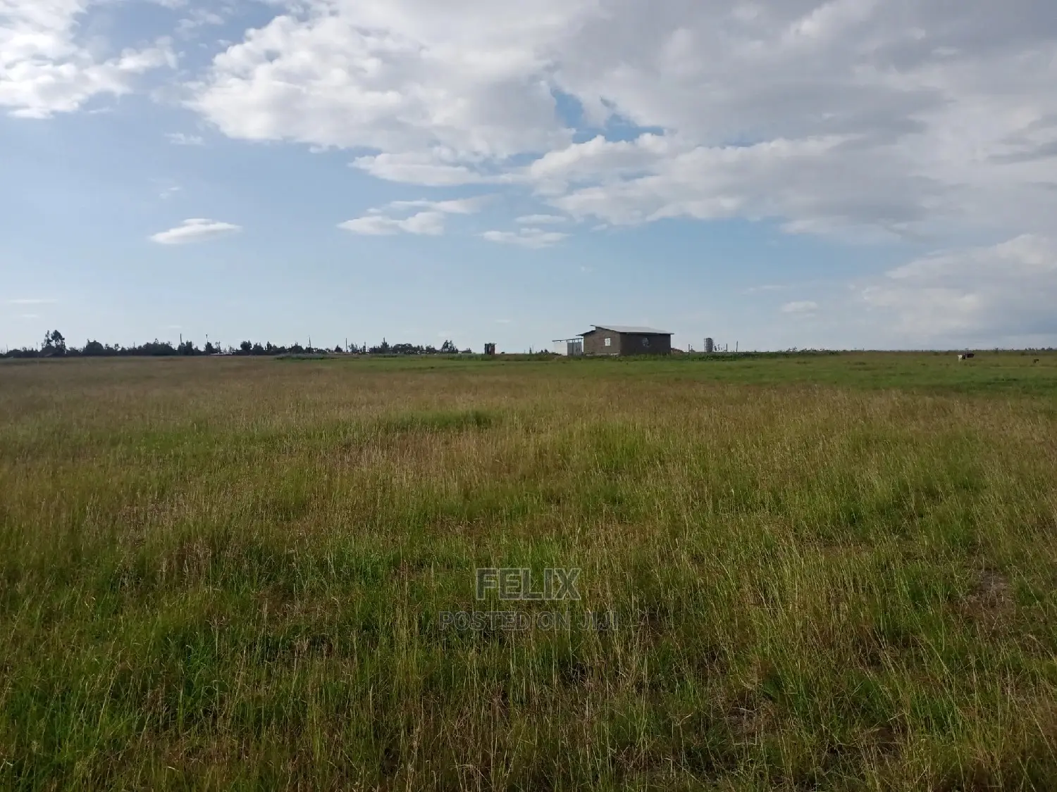 One Acre Narumoru/Solio