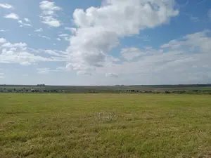 15 Acres on Sale Chaka/Kalicheni Touching Tarmac