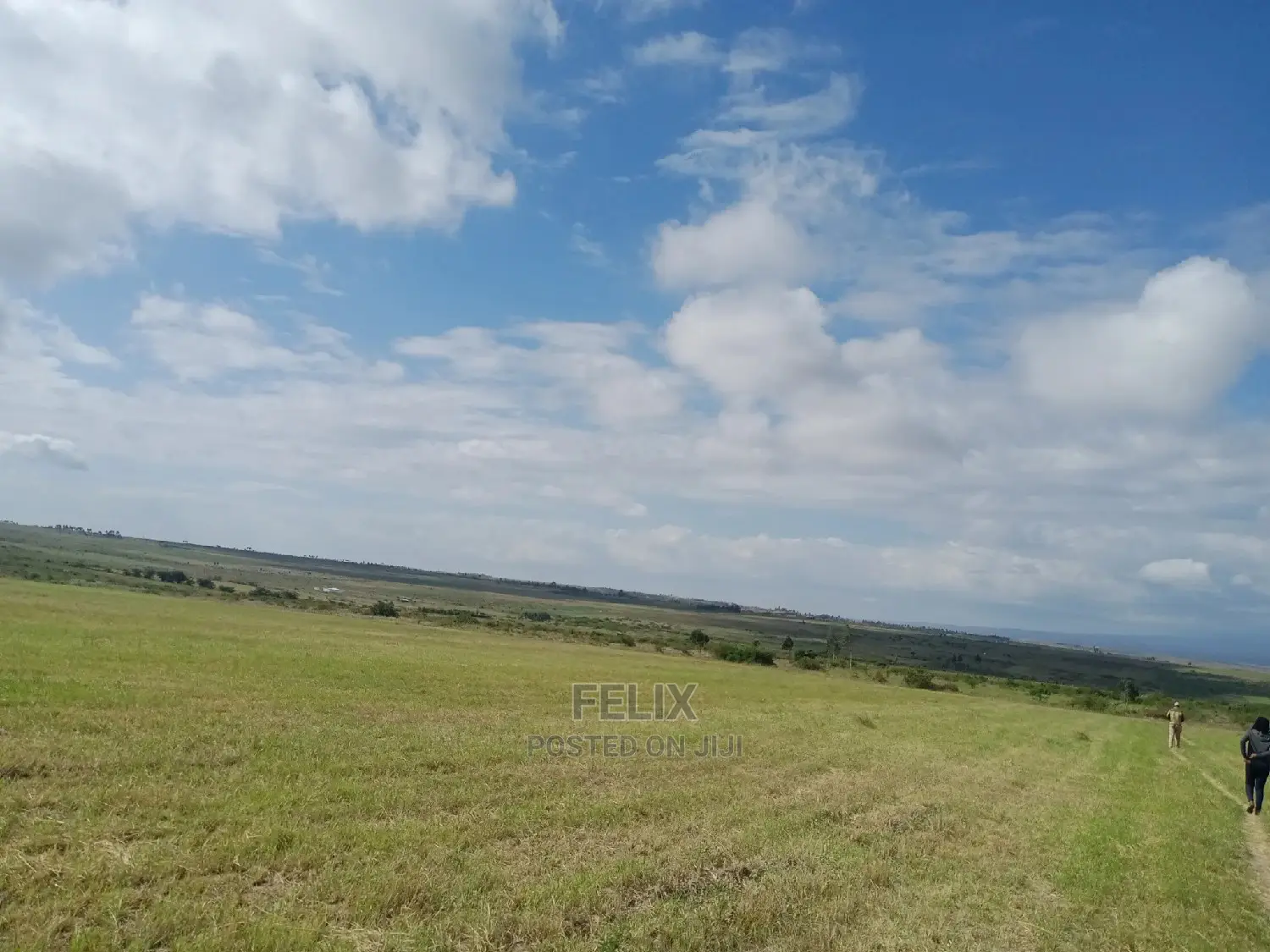15 Acres on Sale Chaka/Kalicheni Touching Tarmac