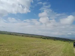 15 Acres on Sale Chaka/Kalicheni Touching Tarmac