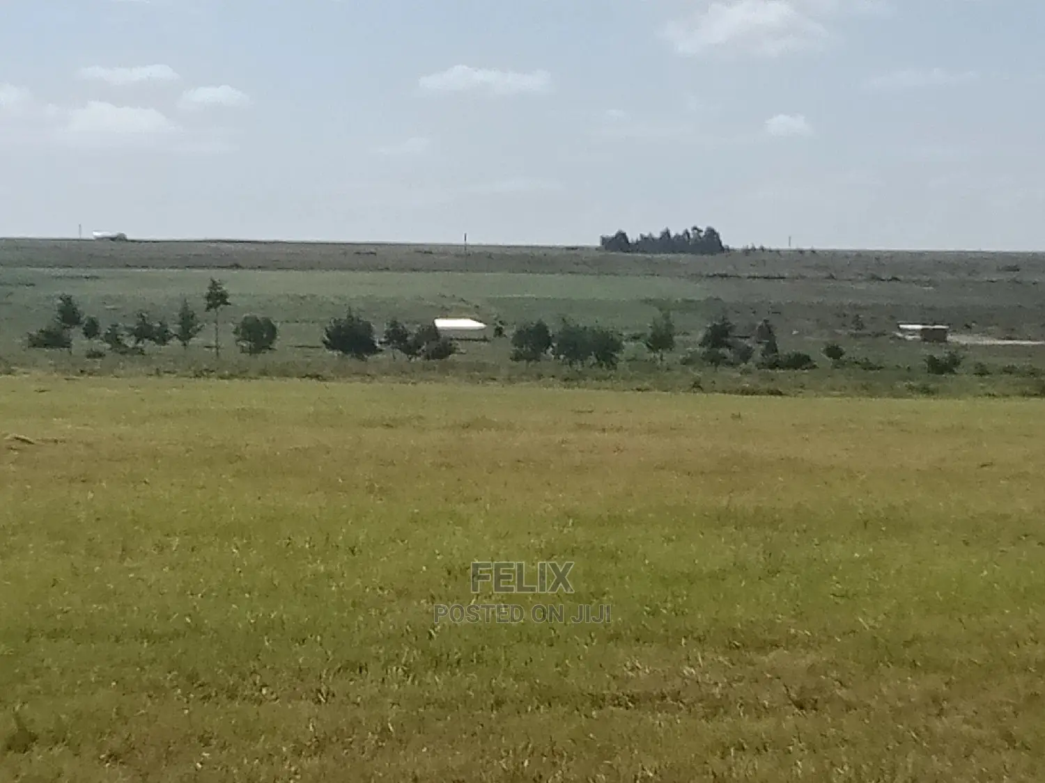 15 Acres on Sale Chaka/Kalicheni Touching Tarmac