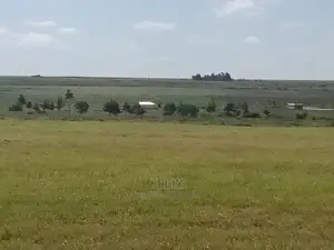 15 Acres on Sale Chaka/Kalicheni Touching Tarmac