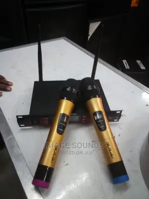 Ally Audio Wireless Microphone