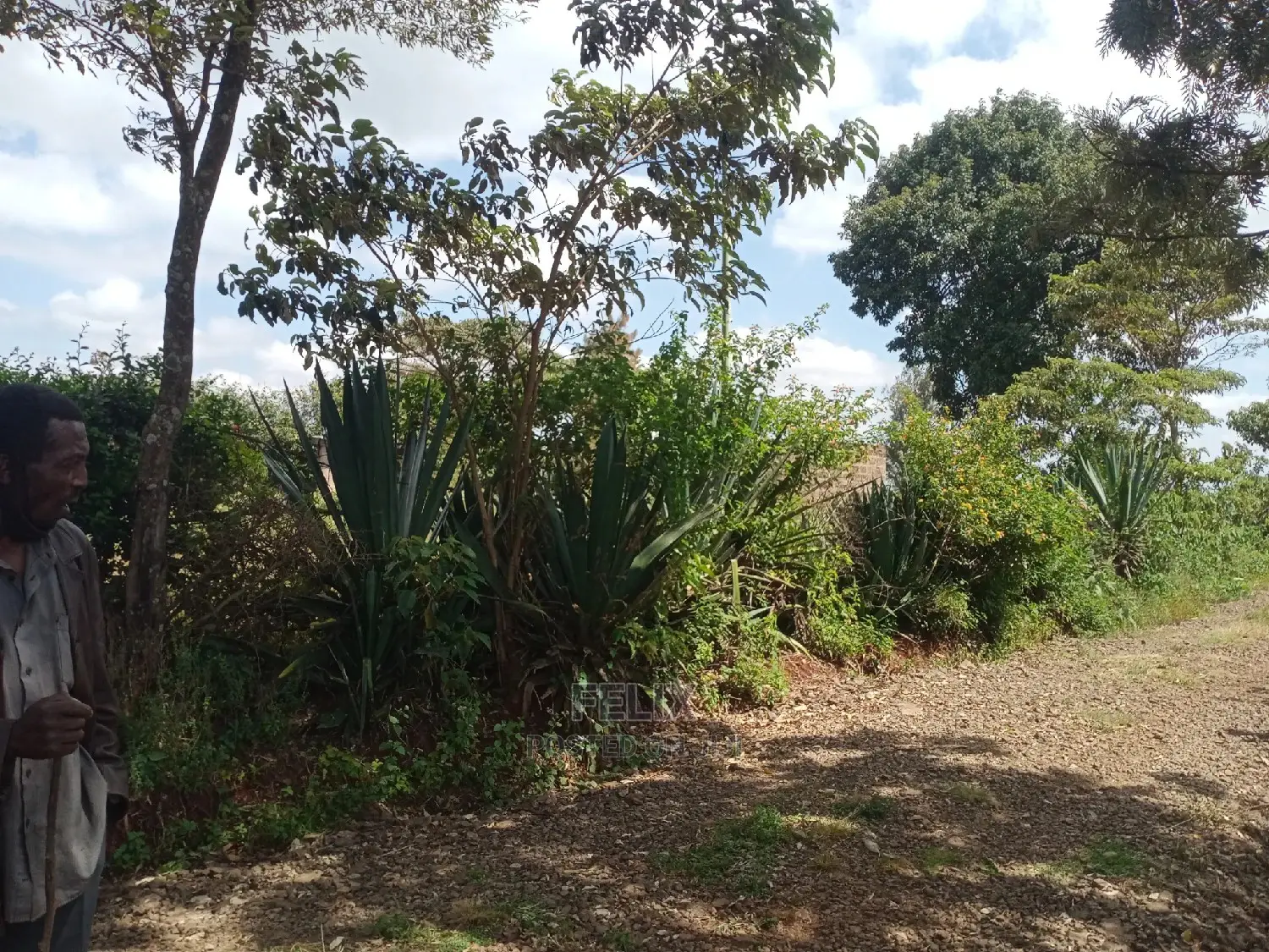 1 Acre Karatina