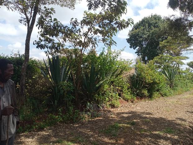 1 Acre Karatina - main view