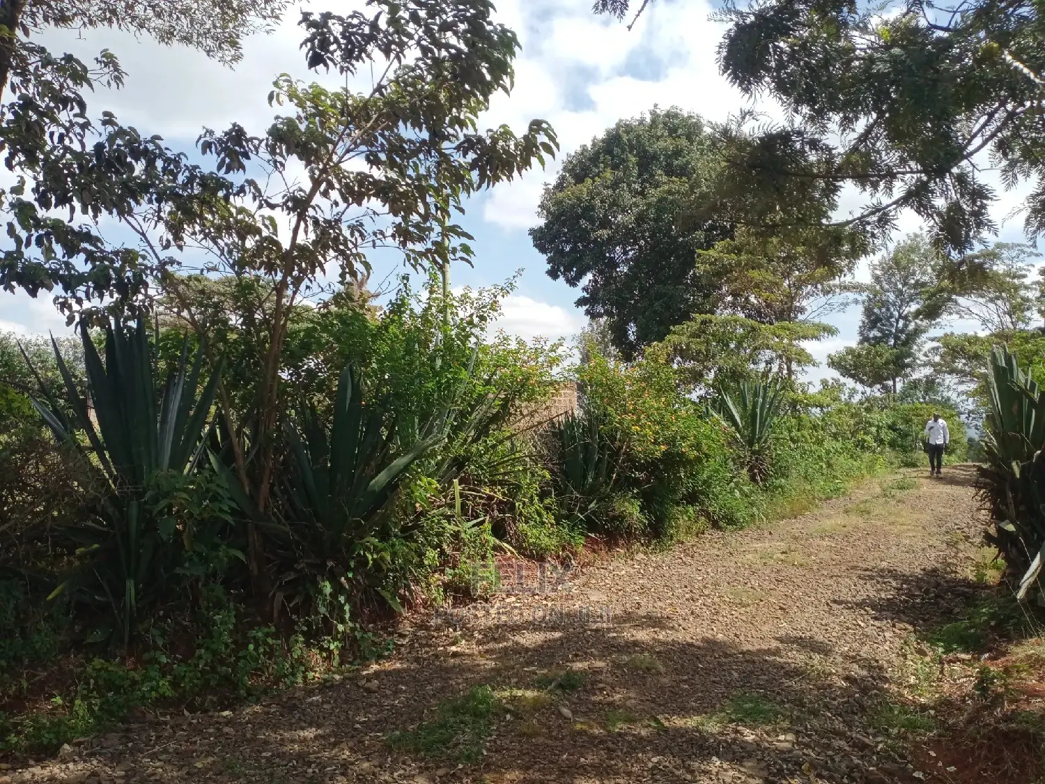 1 Acre Karatina