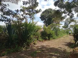 1 Acre Karatina