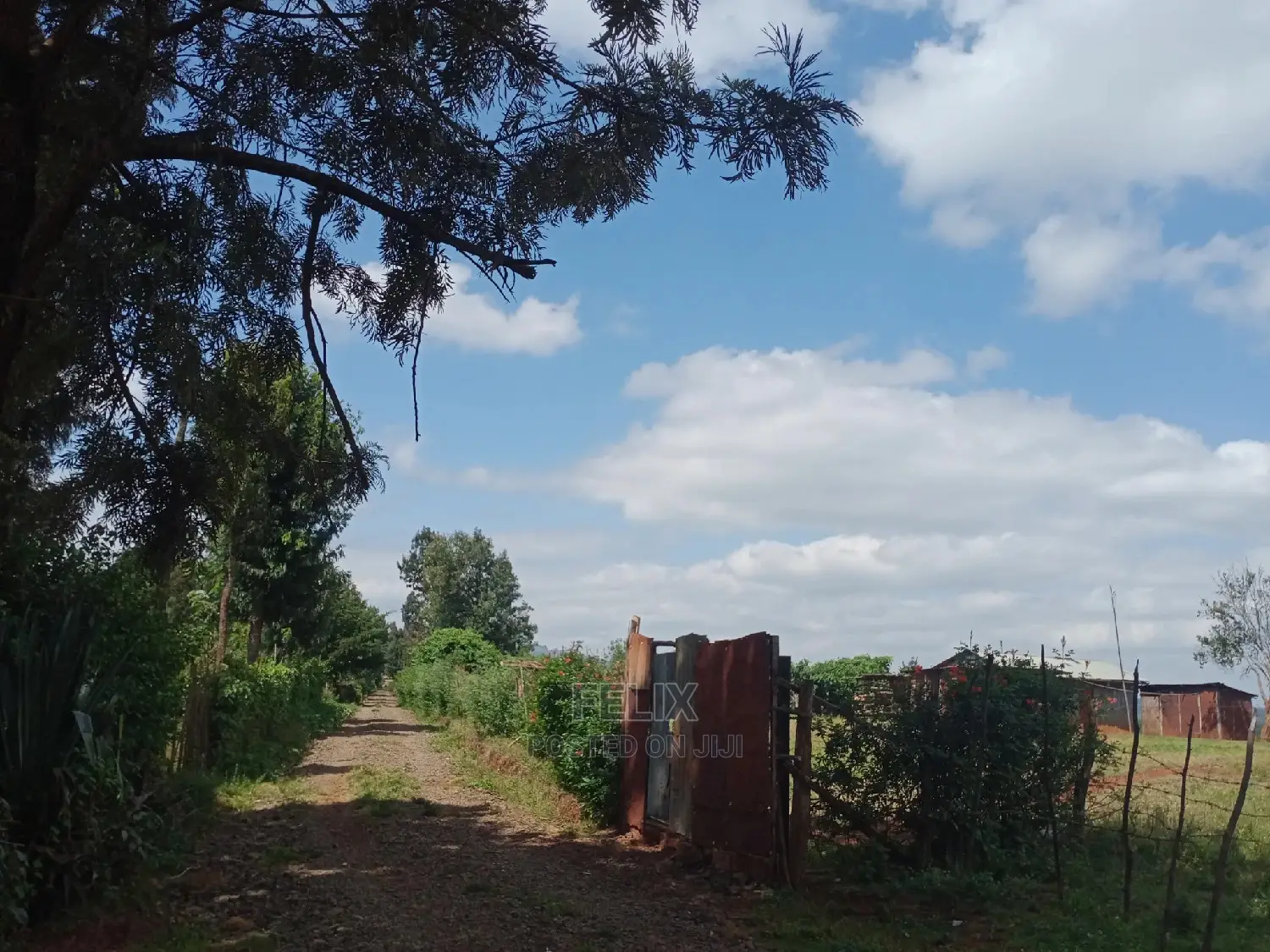 1 Acre Karatina