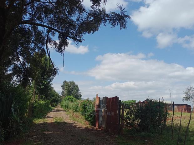 1 Acre Karatina - thumbnail 4