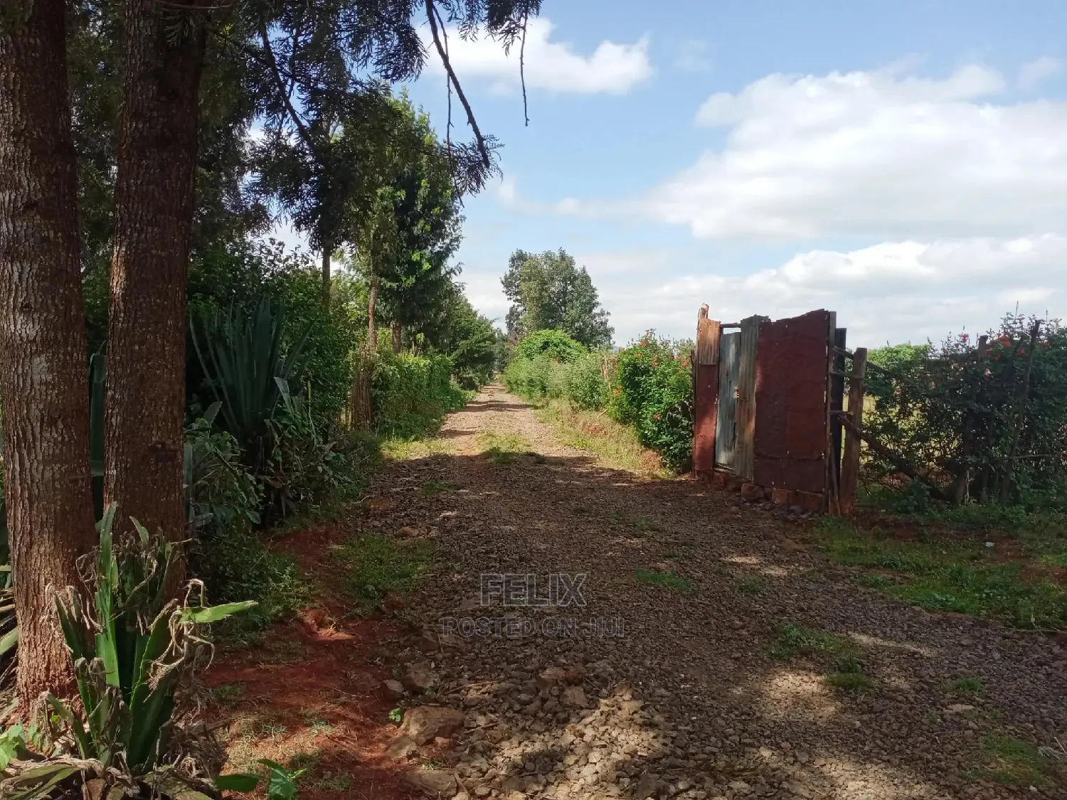 Prime Plots in Karatina /Kirimara