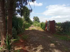 Prime Plots in Karatina /Kirimara