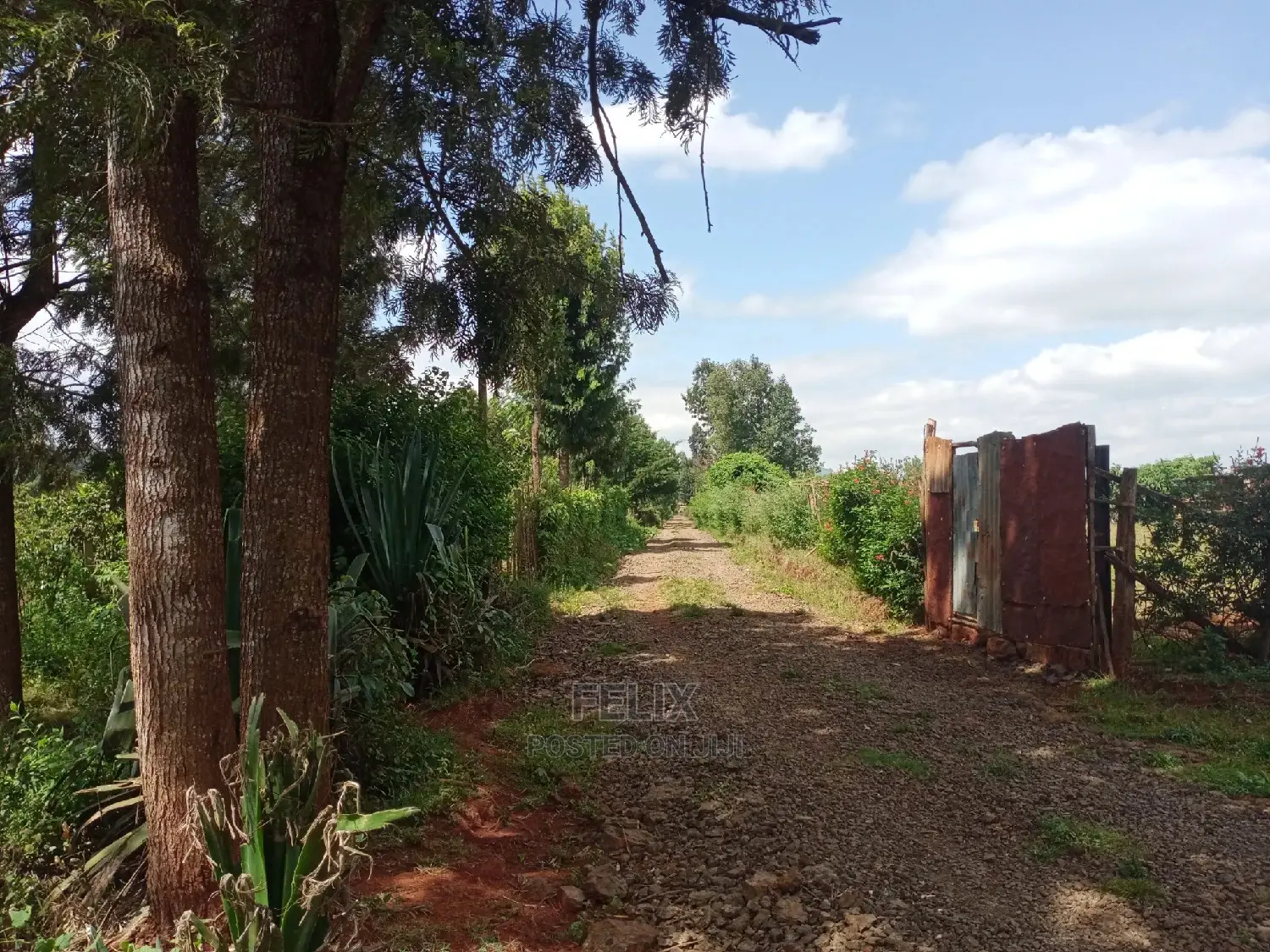 Prime Plots in Karatina /Kirimara