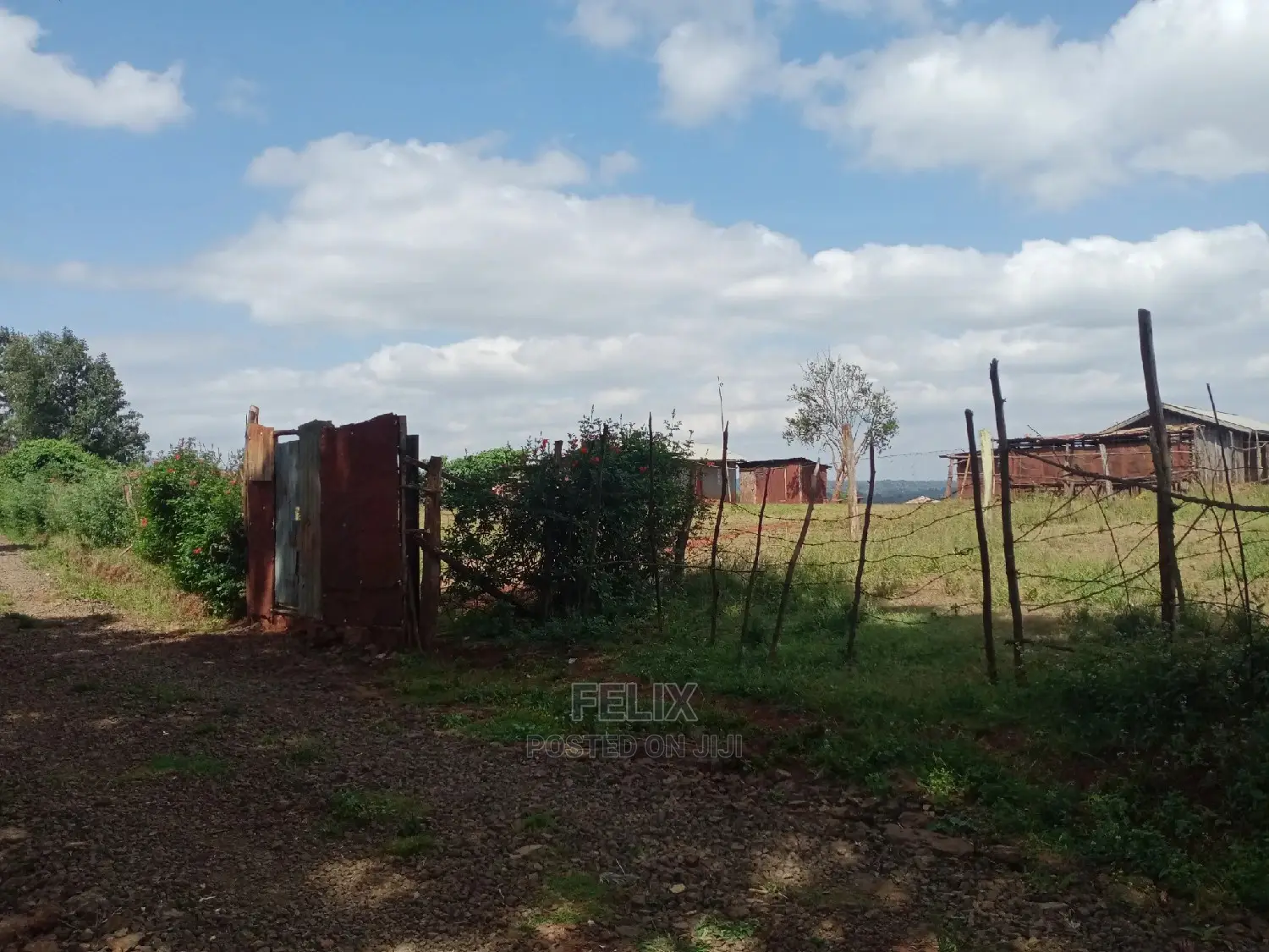 Prime Plots in Karatina /Kirimara