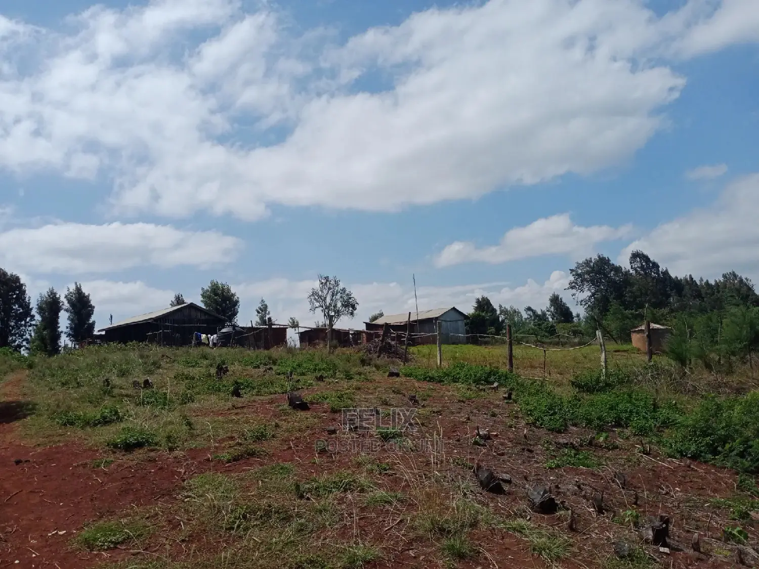 Karatina Plots Gaturiri