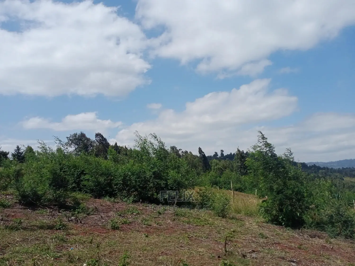 2 Acres Karatina Unjiru