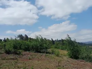 2 Acres Karatina Unjiru