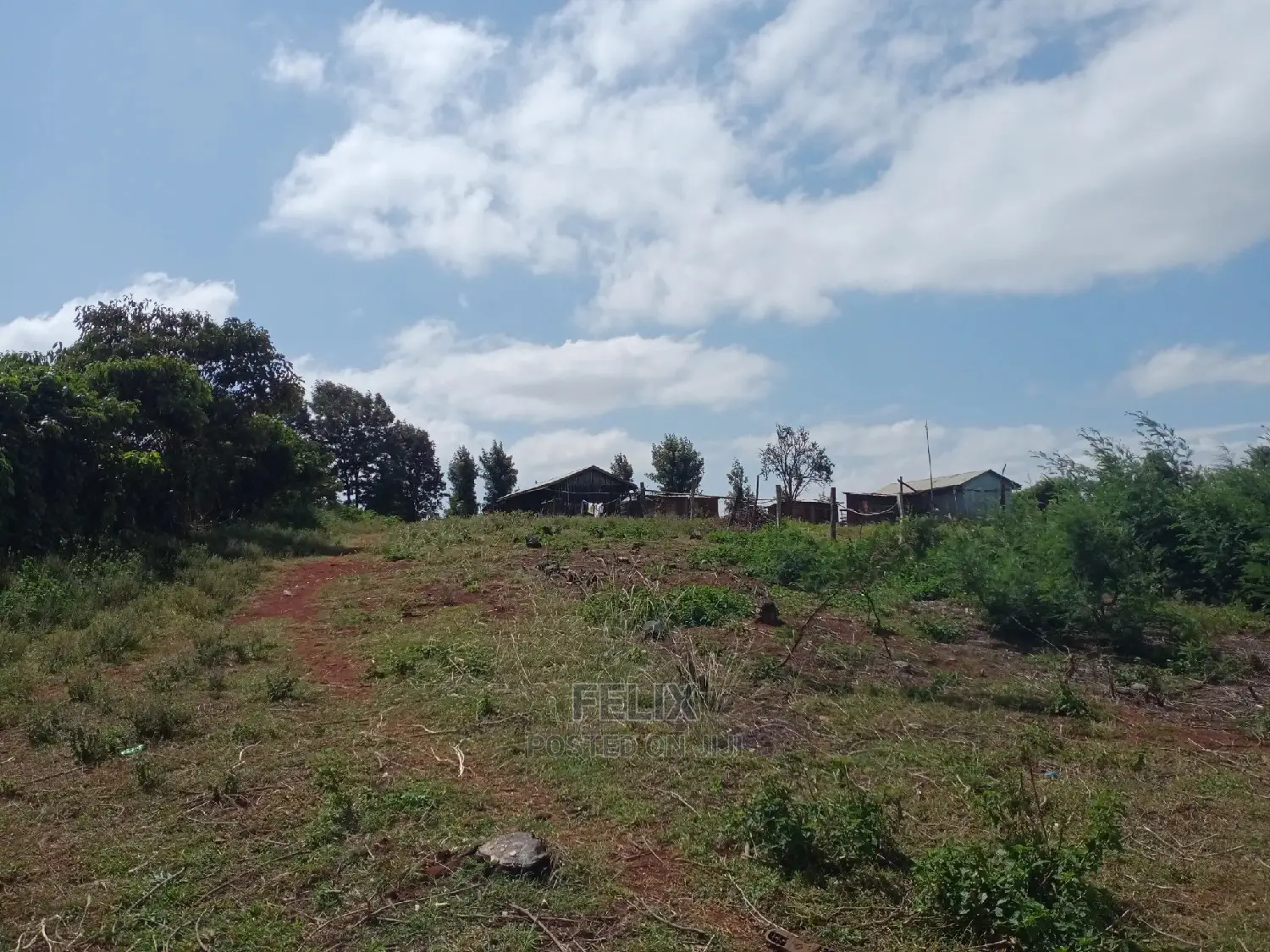 2 Acres Karatina Unjiru