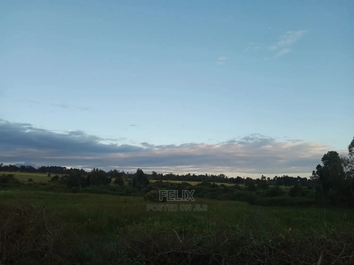 Prime Plots Nanyuki/Mirera