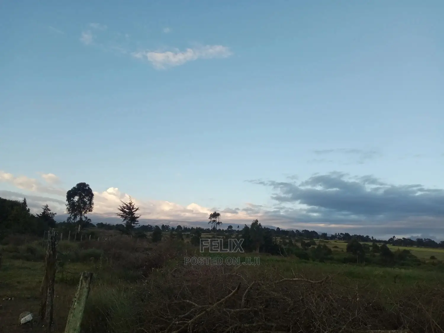 Prime Plots Nanyuki/Mirera