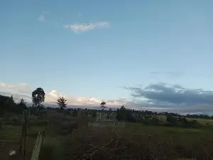 Prime Plots Nanyuki/Mirera