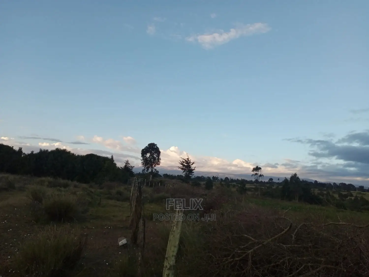 Prime Plots Nanyuki/Mirera