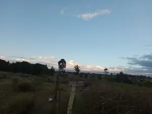 Prime Plots Nanyuki/Mirera