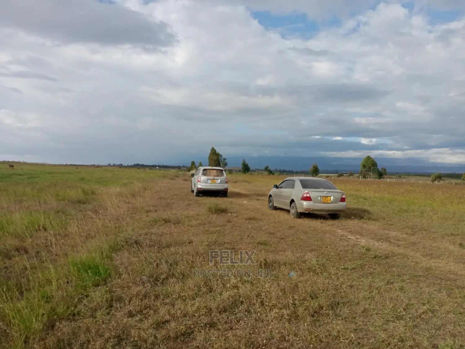 Prime Plots Nanyuki/Mirera