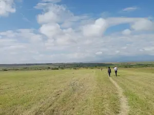 Nanyuki Airstrip Quota Plots 100/100