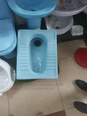 Asian Step Toilet Colour
