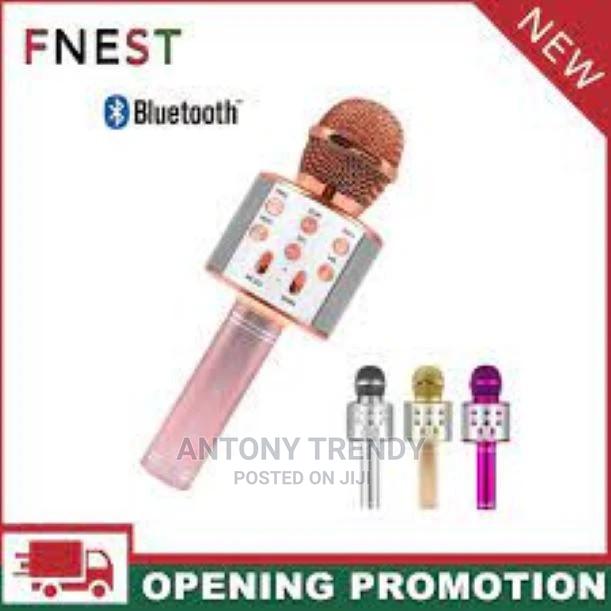 Portable Hand-Held Wireless Karaoke Microphone