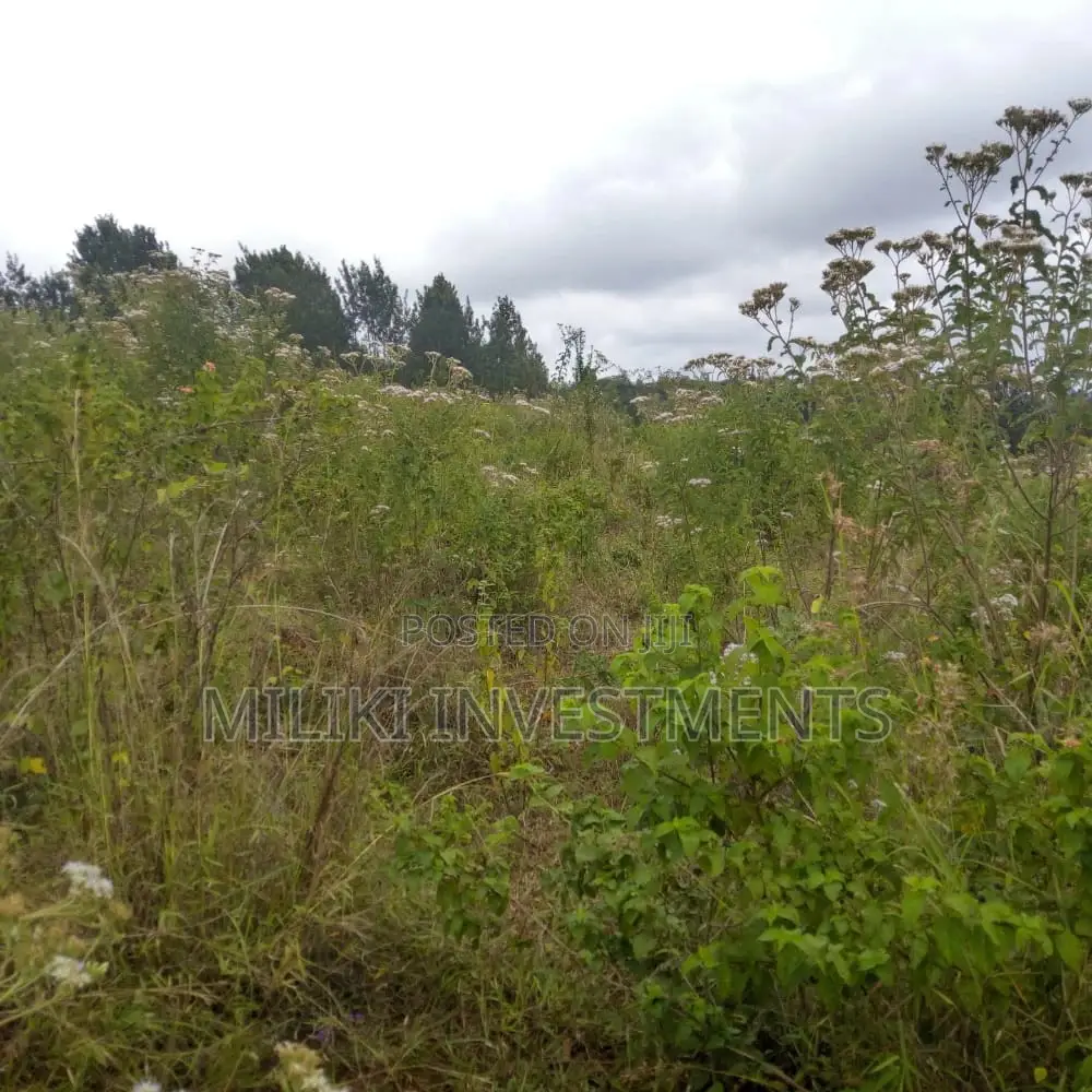 6 Acres on Sale at Maragua Mbombo