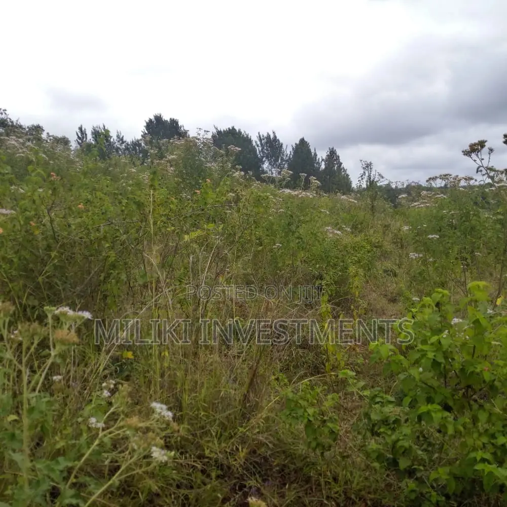 6 Acres on Sale at Maragua Mbombo