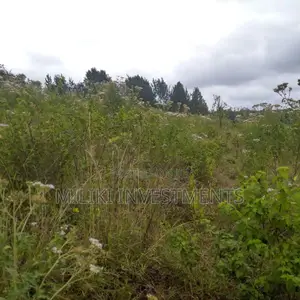 6 Acres on Sale at Maragua Mbombo