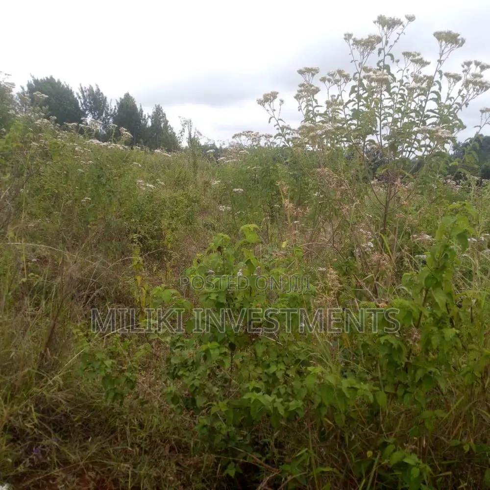 6 Acres on Sale at Maragua Mbombo