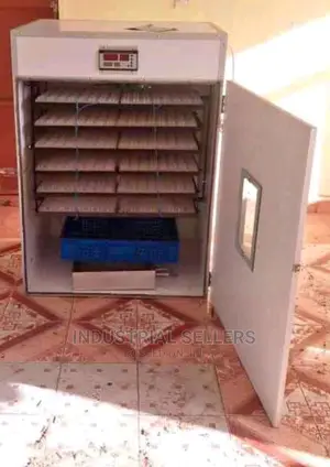 Modified 300 Eggs Incubator