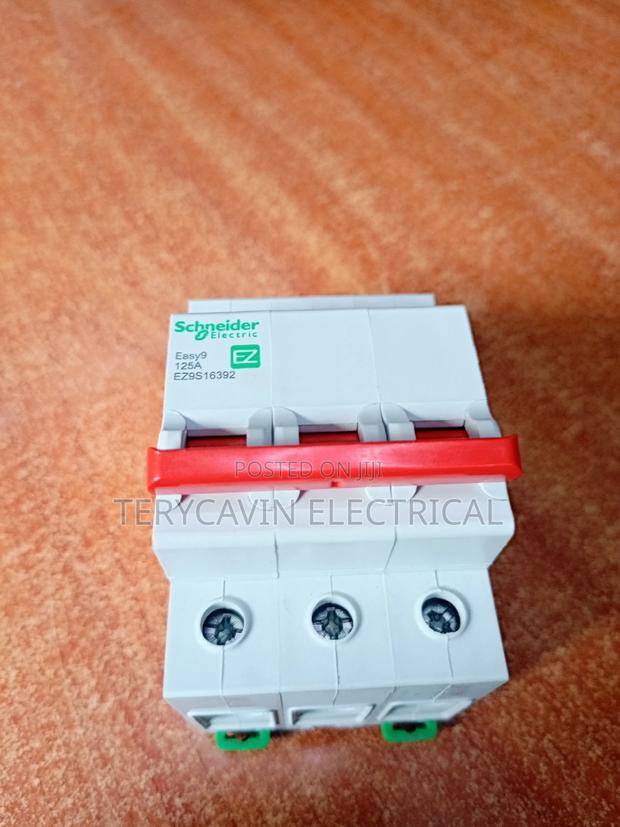 Main 125A Schneider Triple Pole