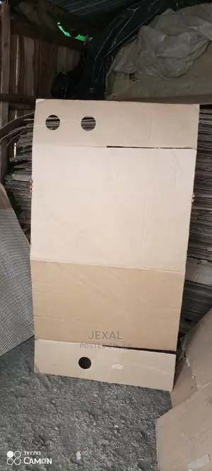 Carton Boards