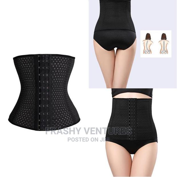 Waist Tummy Trimmer Belt - main view