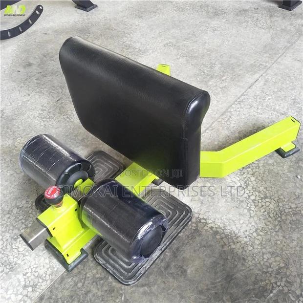 Sissy Squat Machine Gym Equipment