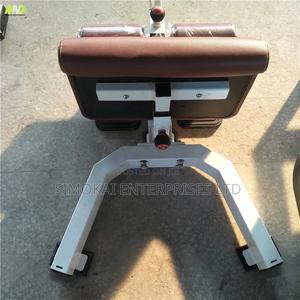 Adjustable Sissy Squat Machine - thumbnail 2