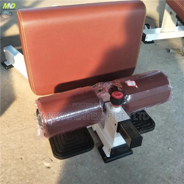 Commercial Sissy Squat Machine