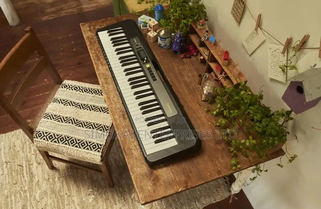 61 Keys Casiotone Key Lighting Keyboards LK-S250