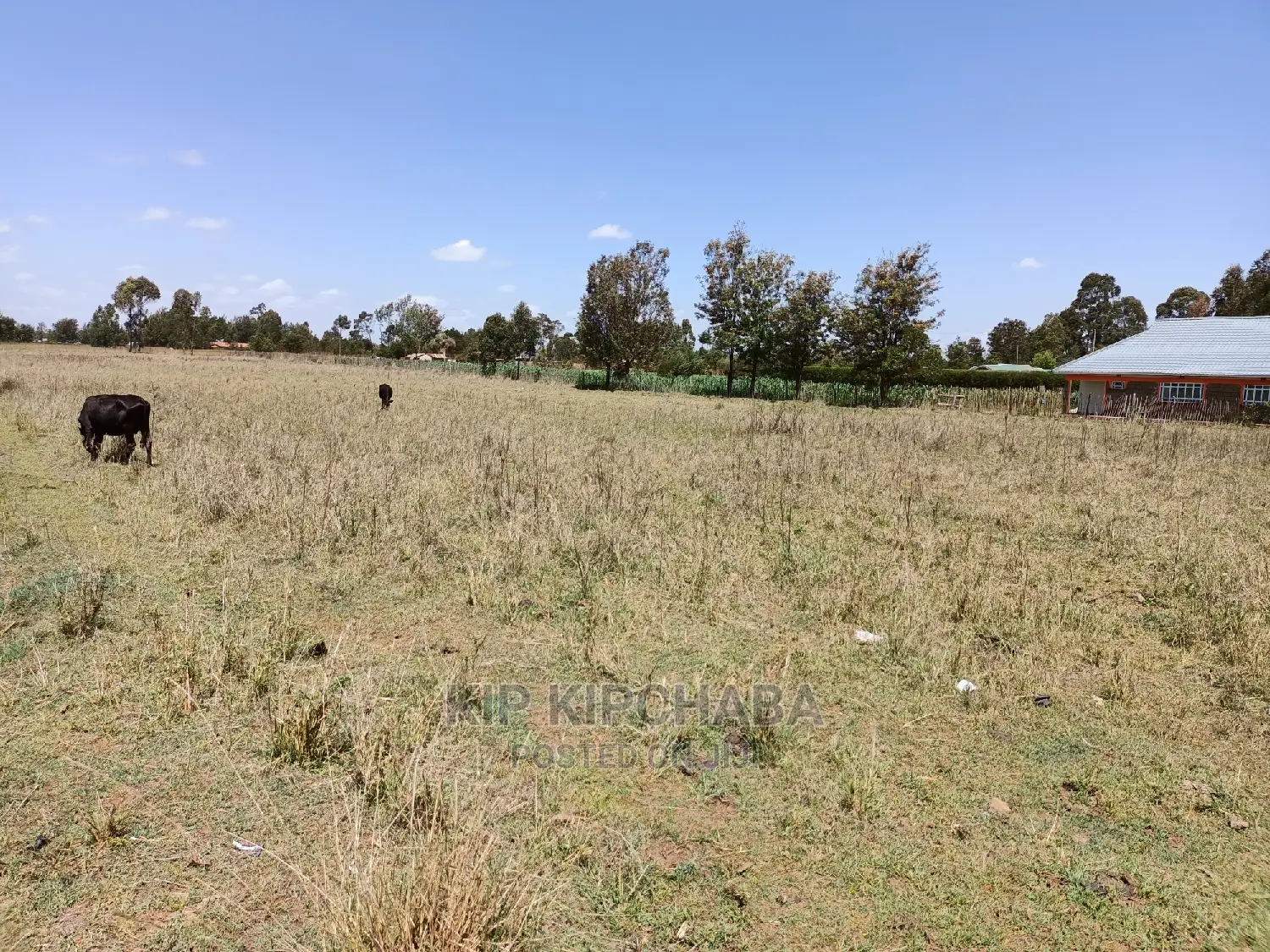 3 Acres Land for Sale Kuinet Centre Ziwa Eldoret