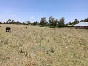 3 Acres Land for Sale Kuinet Centre Ziwa Eldoret