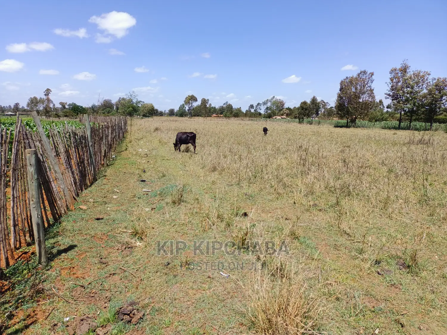 3 Acres Land for Sale Kuinet Centre Ziwa Eldoret