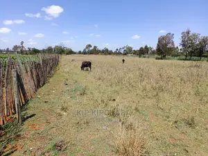 3 Acres Land for Sale Kuinet Centre Ziwa Eldoret