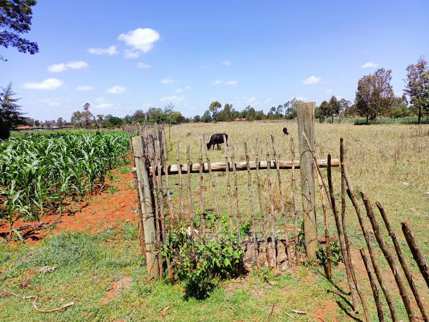 3 Acres Land for Sale Kuinet Centre Ziwa Eldoret