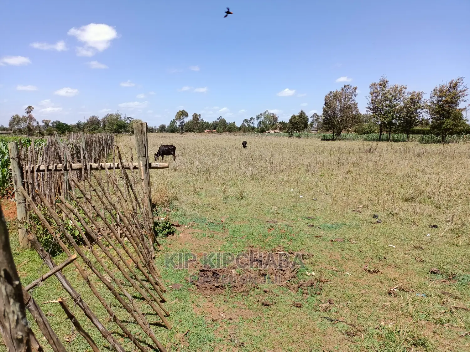 3 Acres Land for Sale Kuinet Centre Ziwa Eldoret