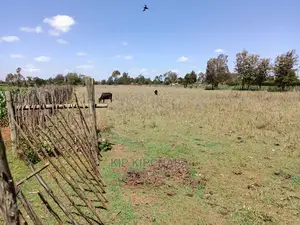 3 Acres Land for Sale Kuinet Centre Ziwa Eldoret